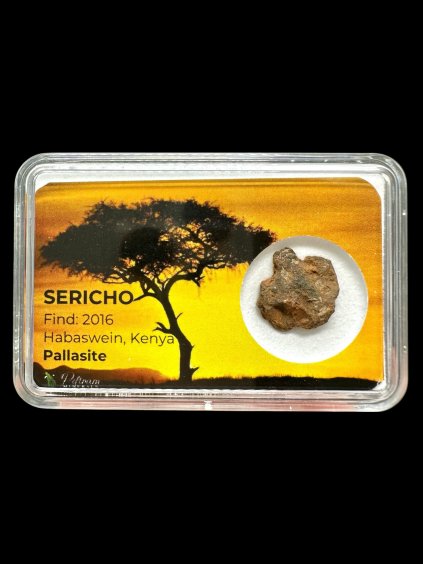 Sericho Pallasite Meteorite 1,1g – Kenya