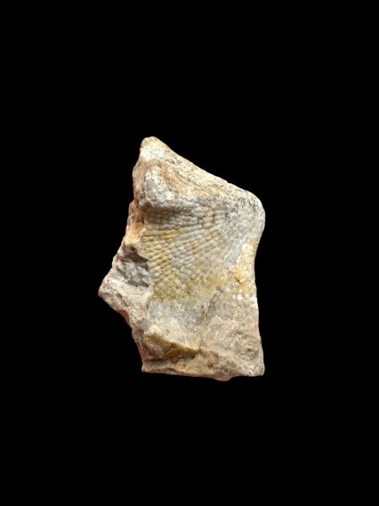 Photoroom 20260224 111147