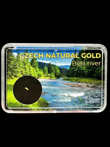 Gold in box – Bela river, CZ