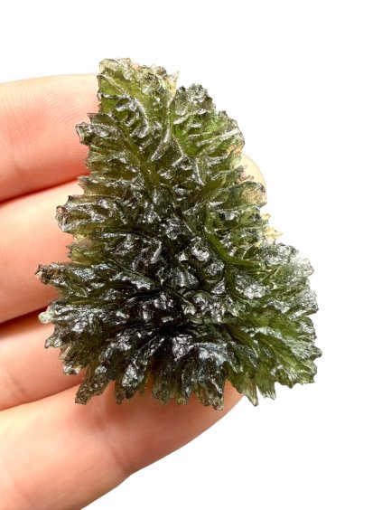 Moldavite – Besednice Jezkovna – 18,8g