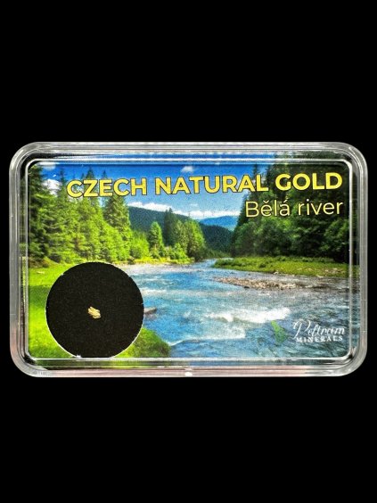 Gold in box – Bela river, CZ