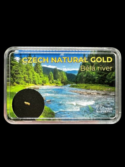 Gold in box – Bela river, CZ