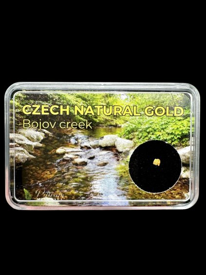 Gold in box – Bojov creek, CZ