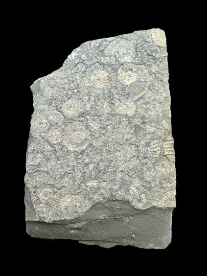 Photoroom 20260316 085919