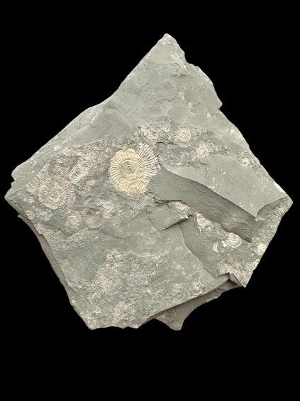 Photoroom 20260316 090512