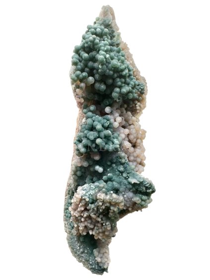 Traubenchalcedon - Sulawesi - Indonesien - 258g