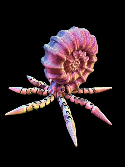 Plastic model of an ammonite