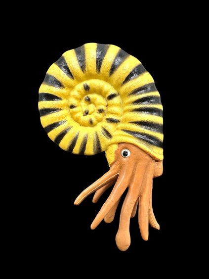 Plastic model of an ammonite