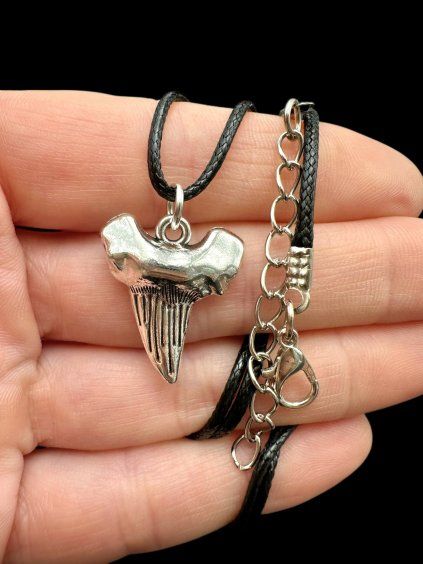 Shark Tooth-Shaped Pendant with Cord