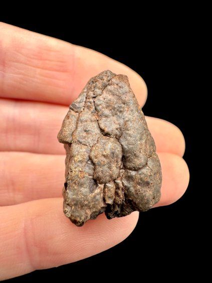 Photoroom 20260410 181545