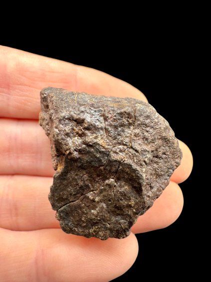 Photoroom 20260410 181940