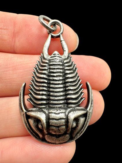 Trilobite Pendant – Zinc