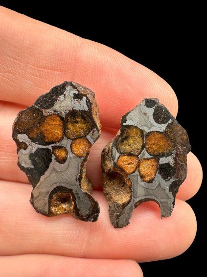 Sericho Pallasite Meteorite – pair 11g – Kenya