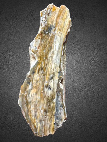 Kieselgestein – Branany, CZ