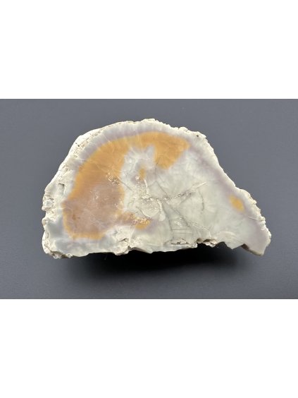 Chalcedon – Vsechlapy, CZ
