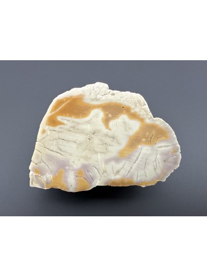 Chalcedon – Vsechlapy, CZ