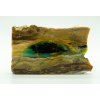 Petrified opalized wood  – West Java, Indonesia