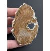 Fossil coral – Sumatra, Indonesia