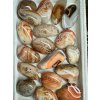 Tumbled agate – Madagascar – 5 kg (4-6,5 cm)
