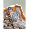 Petrified opalized wood with natural copper  – West Java, Indonesia