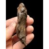 Meteorit Gebel Kamil 139g – Egypt