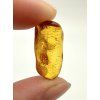 Amber 1,1g – Gdańsk, Poland