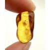 Amber 1,1g – Gdańsk, Poland