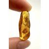 Amber 1,7g – Gdańsk, Poland