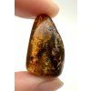Amber 3,9g – Gdańsk, Poland
