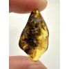 Amber 2,6g – Gdańsk, Poland