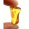 Amber 2,1g – Gdańsk, Poland