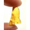 Amber 2,1g – Gdańsk, Poland