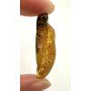 Amber 2,9g – Gdańsk, Poland