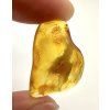 Amber 1,8g – Gdańsk, Poland