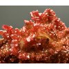 Vanadinite – Morocco