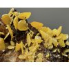 Wulfenite – Morocco