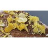 Wulfenite – Morocco