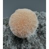 Thomsonite – Madhya Pradesh, India