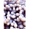 Hroznový chalcedon – Sulawesi – Indonésie – 68g