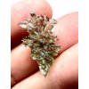 Moldavite – Besednice Jezkovna – 0,8g