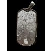 Aletai meteorite pendant
