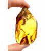 Amber – Lithuania