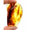 Amber – Lithuania