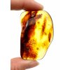 Amber – Lithuania