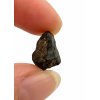Meteorite Chelyabinsk 1,5g – Russia