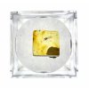 Insects in amber in a box with magnifying glass – Lithuania