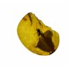 Insekten in Bernstein in einer Schachtel mit Vergrößerungsglas – Litauen
