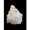 Meteorit Kaalijarv 29,8g – Saaremaa, Estland