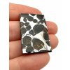 Meteorit Pallasit Brahin 7,2g – Belarus