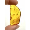 Insects in amber – Lithuania – 3g